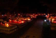 Rózsa Andrea: Csend s szomorúság