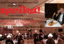 Development Panel PAPRIKA rendezvénye