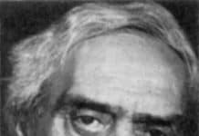 Zelk Zoltán: Vers a lehetről és a nem lehetről