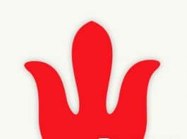 Köszönet a 800 LIKE-ért