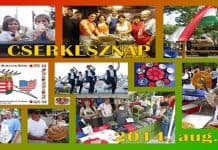 Cserkésznap 2014