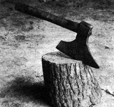 Nagy fába vágta a fejszét