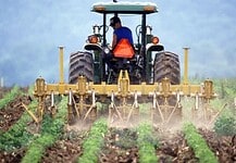 Tiltanák a génmódosított növények köztermesztését az uniós agrárminiszterek