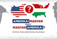 Amerikai Magyar Vagy Magyar Amerikai ? Online közvélemény-kutatás