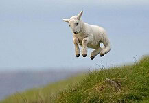 THE SYMBOLS AND TRADITIONS OF EASTER
