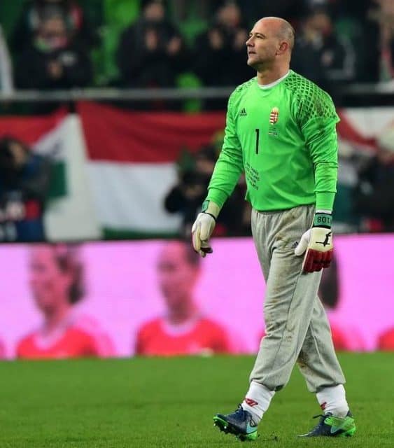 „VISZLÁT, MACKÓNADRÁG!” – ÍGY BÚCSÚZTATTÁK KIRÁLYT VILÁGSZERTE