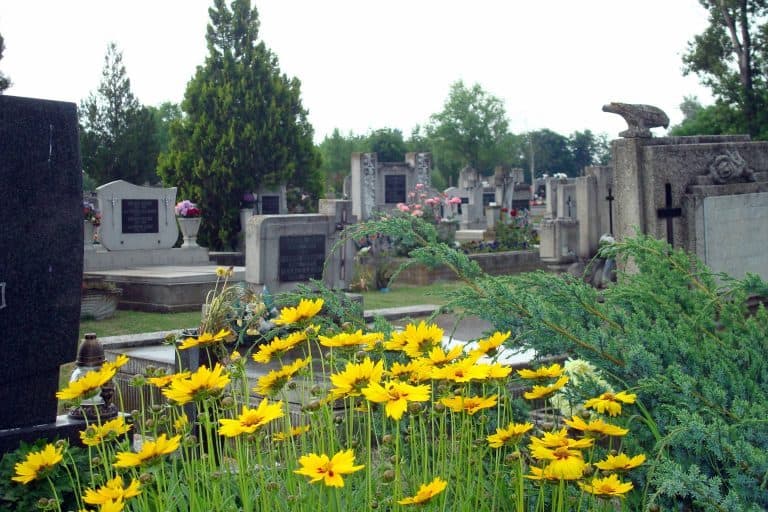 Áprily Lajos: Tavasz a házsongárdi temetőben