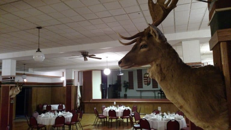 Vadas ebéd a Szent Imre templomnál