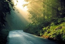 Mécs László : Fényt hagyni magunk után!