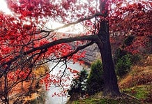 Füst Milán:Öregség