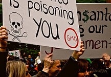 A Monsanto vegyipari óriáscégnek csaknem 290 millió dolláros kártérítést kell fizetnie rákkeltő gyomirtói egyik áldozatának