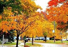 Ady Endre: Párisban járt az Ősz