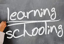 Idegen nyelv anyanyelv oktatás nélkül?