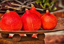 Tépett csirke sütőtökös gerslivel