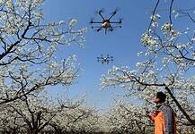 Jófiúk, rosszfiúk