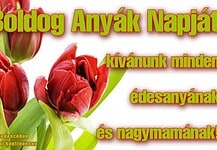 Boldog anyák napját kívánunk minden édesanyának és nagymamának!