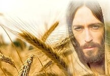 Katolikus egyház 2019. július 14-i adása