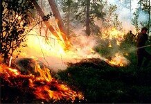 Az egész világra komoly fenyegetést jelentenek az északi tüzek