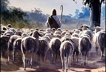 Katolikus egyház 2019. augusztus 11-i adása