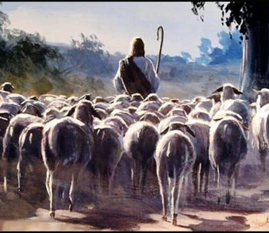 Katolikus egyház 2019. augusztus 11-i adása