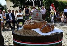 Összeöntötték a kárpátaljai magyar gazdák által összegyűjtött búzát Nagydobronyban