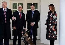 Kitüntették az al-Bagdadi elleni akció kutyáját