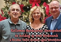 Kellemes Karácsonyi ünnepeket és boldog új évet kívánunk!