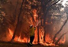 Ismét tűzoltók haltak meg a bozóttüzekben