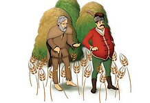 A tordátfalvi fias mál