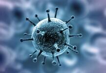 Ötvenmillió felett a fertőzöttek száma világszerte