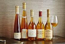 Már száz borászat a magyar bor honlapján