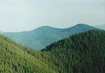 Már visszaszolgáltatott Bánffy-erdőkre tette rá a kezét a román állam