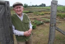 Immunerősítés gyógynövényekkel: a bükki füves ember tanácsai vírus idejére