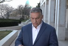 Hungary suspends loan payments for businesses, individuals