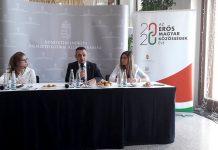 A 21. század a magyarság nyertes évszázada lesz