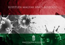 Mennyire vagyunk sérülékenyek a Kárpát-medencében a járvánnyal szemben?