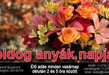 Határok nélkül ünnepli az anyák napját az amerikai magyarok kedvelt rádiója.