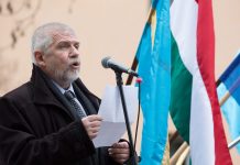 Initiatiors of Protecting EU Ethnic Regions Aim Even Higher