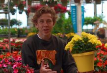 Szívbéli köszöntők anyák napjára