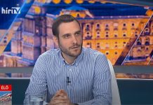 Mező Gábor: A békés átmenet a kommunista elit érdeke volt