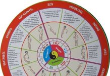 Élj tudatosan, élj a kínai szervóra szerint