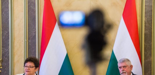 Elkészült az első magyar fejlesztésű koronavírusteszt