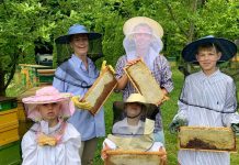 A magyar méz az egyik legegészségesebb termékünk