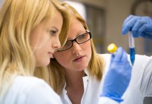 Hét érmet nyertek a magyar diákok az online diákolimpián