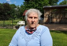 Házhoz mentek magyaros ízek – az augusztusi hirami piknik új köntösben