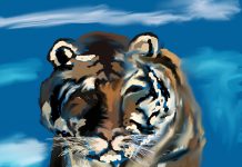 Aranyosi Ervin: Szerinted egyszer élünk?