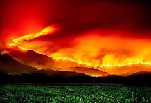 Lángokban áll Kaliforniában a híres Napa-völgy szőlővidéke is