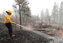 Az elnök is ellátogatott a bozóttüzek helyszínére