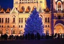 A Kossuth téren már díszeleg az ország fája