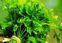 Életünk fűszere egy természetes gyógynövény